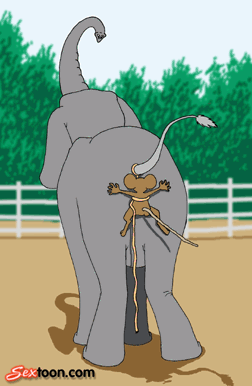  lamour na pas de taille